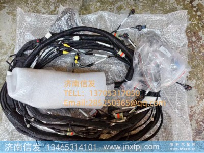 1006115366,1006115366发电机组发动机线束,济南信发汽车配件有限公司