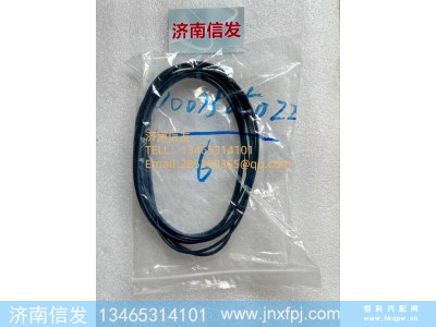 1001525022博杜安缸套密封圈小 济南信发图1