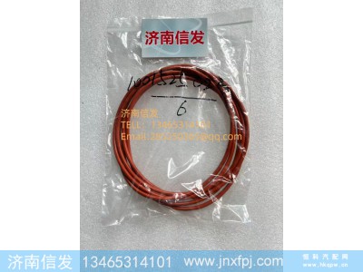 1001525023博杜安气缸套密封圈 济南信发图1
