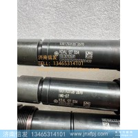 1003010591潍柴发电机组喷油器 济南信发