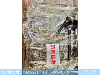 1003581520博杜安排气门 济南信发图1