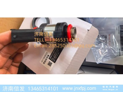 1011608025,1011608025潍柴天然气喷射阀喷嘴,济南信发汽车配件有限公司