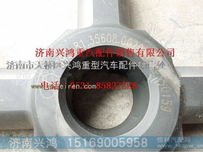 DH7131.200620陕汽矿用车差速器十字轴