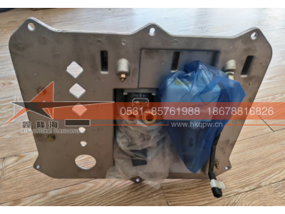 DZ97189230600,新M3000组合踏板总成,济南鑫隆海汽车零部件有限公司