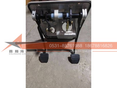 DZ9H259230301,MT组合踏板,济南鑫隆海汽车零部件有限公司