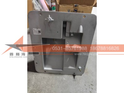 DZ9H259230301,MT组合踏板,济南鑫隆海汽车零部件有限公司