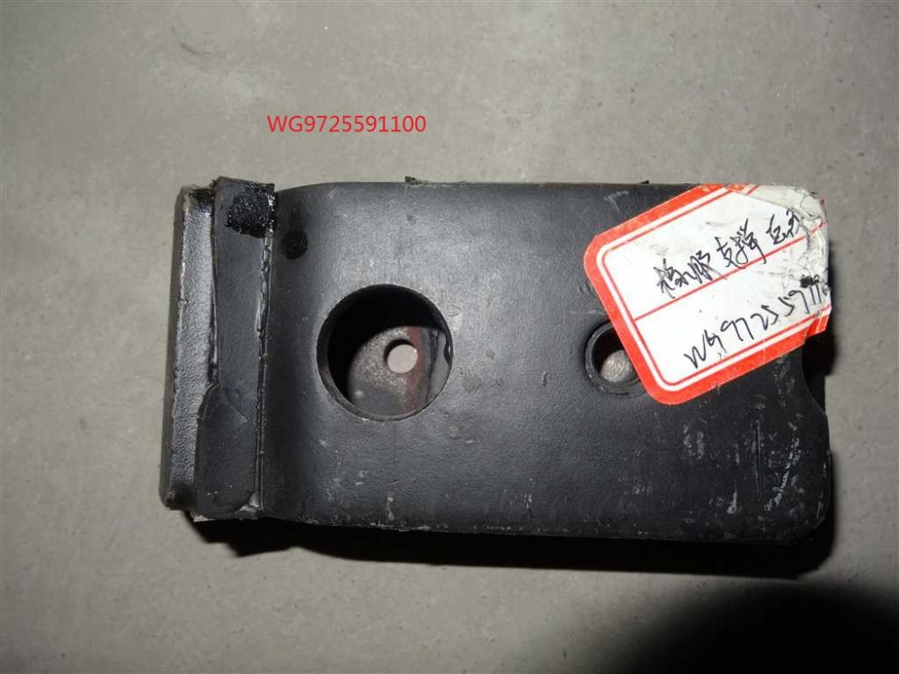 WG9725591100/WG9725591100