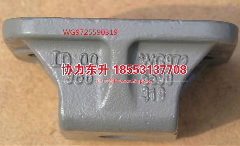 WG9725590319,,济南协力东升汽车配件有限公司