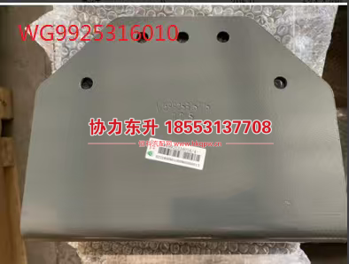 WG9925316010