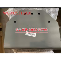 WG9925316010