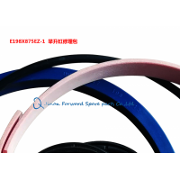 E198X875EZ-1