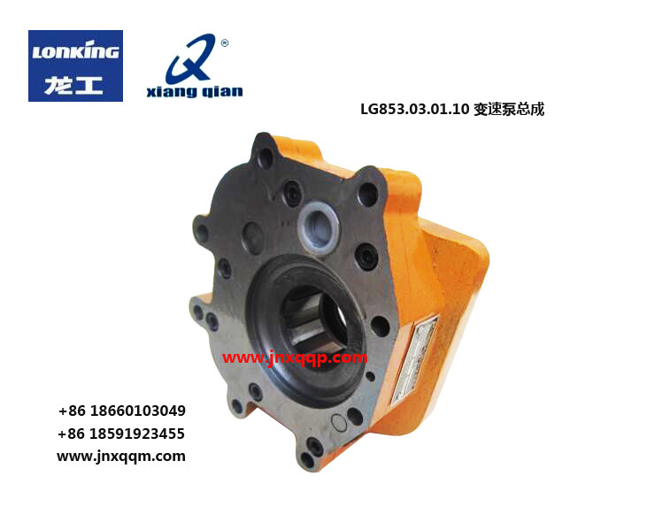 LG853.03.01.10输送泵Transfer pump/LG853.03.01.10