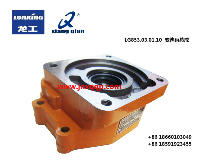 LG853.03.01.10输送泵Transfer pump/LG853.03.01.10