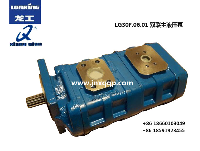 LG30F.06.01,双联主液压泵Hydraulic pump,济南向前汽车配件有限公司