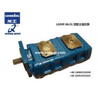 LG30F.06.01双联液压泵Hydraulic pump