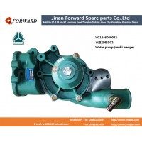 VG1246060042水泵 D12 Water pump (multi wedge)