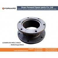 612600061450   中间法兰spacer flange