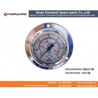 DZ91189565012  轴向压力表pressure gauge