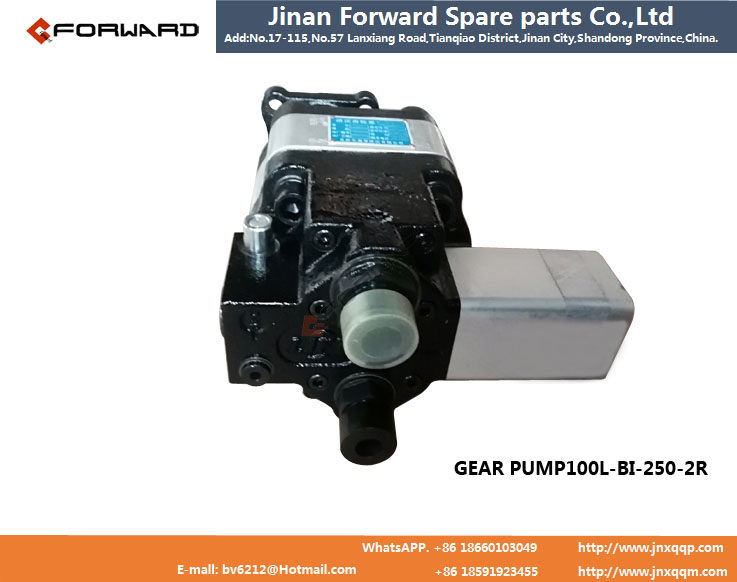 GEAR PUMP100L-BI-250-2R,液压举升分体泵,济南向前汽车配件有限公司