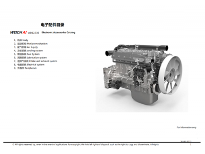 WD12    WP12,Electronic Accessories Catalog,济南向前汽车配件有限公司