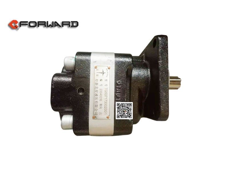 TG53717300200,Gear pump assembly,济南向前汽车配件有限公司