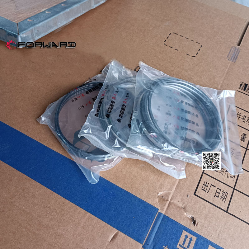 202V02503-6011  活塞环组件,Piston ring assembly,济南向前汽车配件有限公司