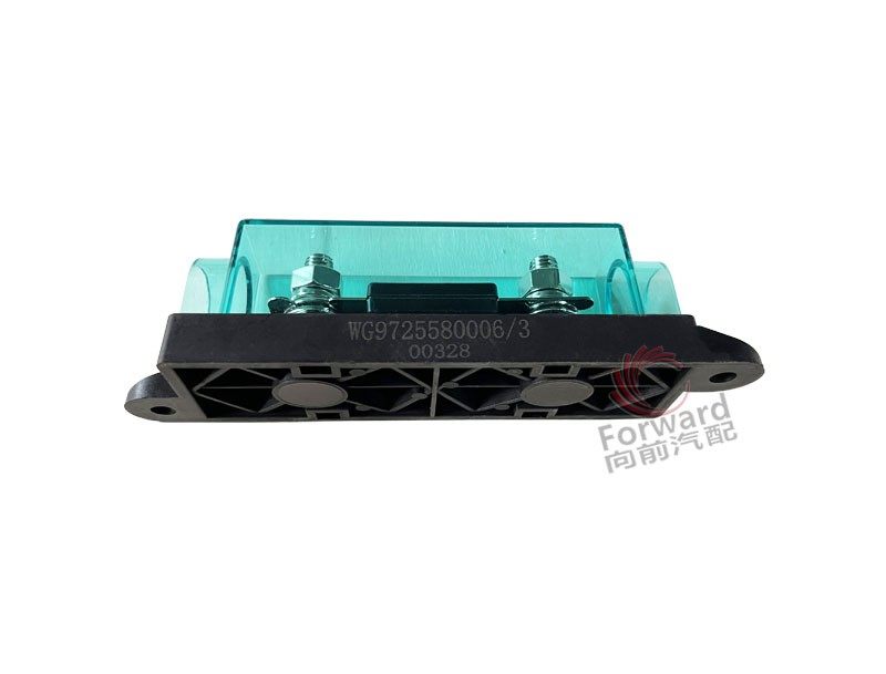 WG9725580006  100A保险装置,100A safety device,济南向前汽车配件有限公司
