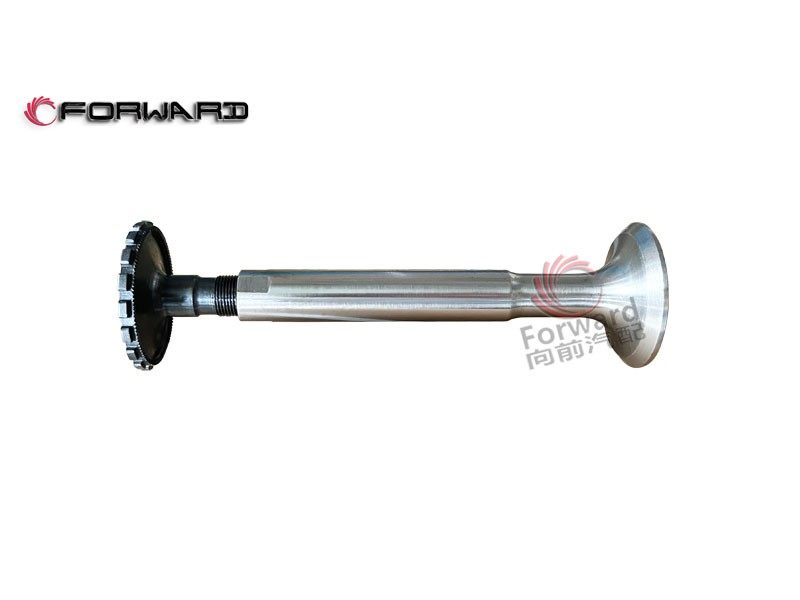 特种车 12V150ZL 动力配气系统 4.06.150 排气门