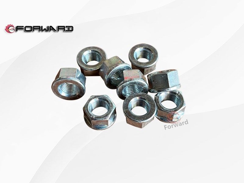 SINOTRUK 豪曼 HOMAN 轻卡 传动轴系统 ZQ361B14T13F6  2型六角螺母