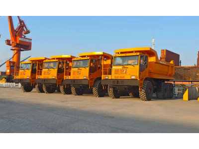 ZX10083TL029 空气滤芯,Air filtration chip,济南向前汽车配件有限公司