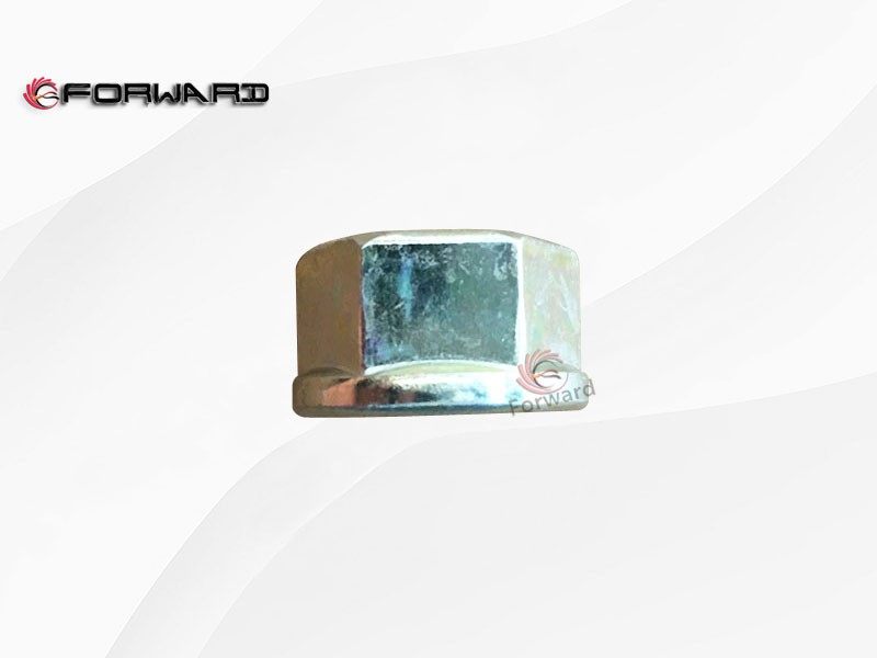 SHACMAN L5000 行駛懸架系統(tǒng) 199112520122 前簧騎馬螺栓螺母