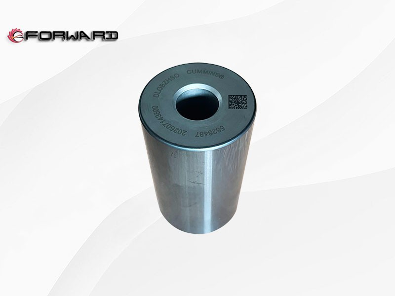 SHACMAN Xi'an Cummins M10 动力发动机运动系统 5626487 活塞销