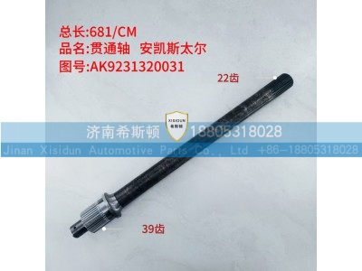 安凯斯太尔贯通轴22齿,39齿AK9231320031图1
