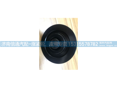 J4208-1002400A,玉柴機器 YC6J A型兩槽惰輪,濟南信通汽車配件有限公司