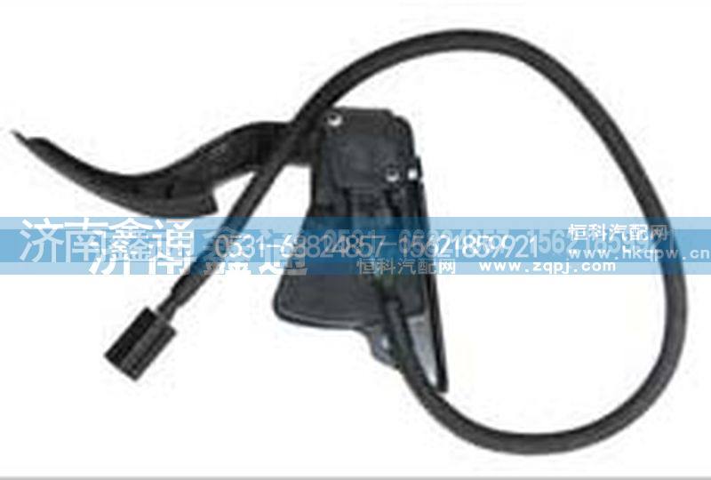 德龙进口电子油门DZ93259570085