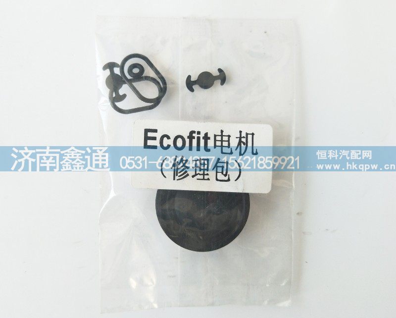 Ecofit电机（修理包）/