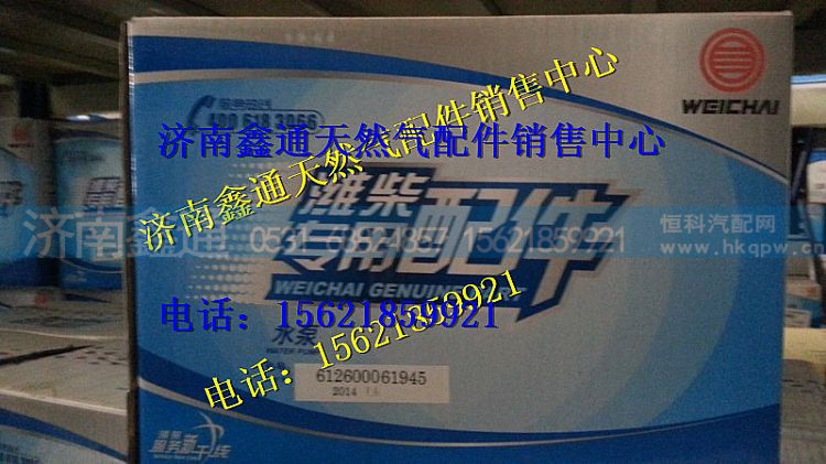 潍柴WP10CNG天然气发动机水泵