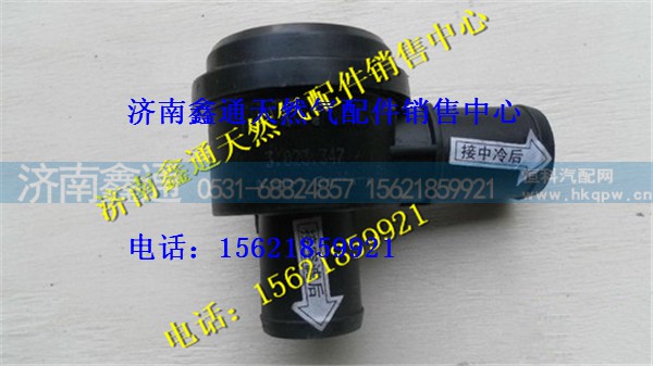 重汽天然气防喘振阀(CNG)