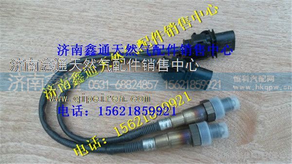 重汽天然气氧浓度传感器(CNG)