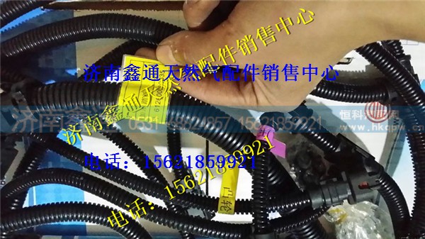 潍柴WP10传感器线束