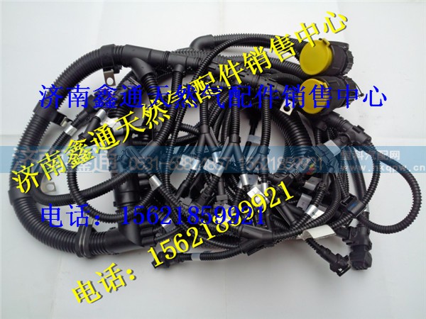 潍柴天然气发动机线束