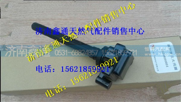 重汽天然气点火线圈总成（T12)