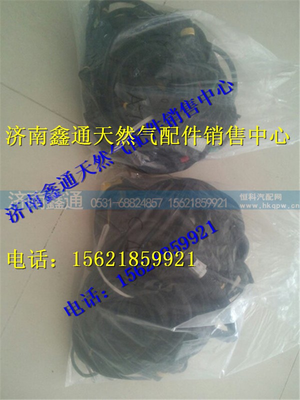 重汽天然气发动机线束
