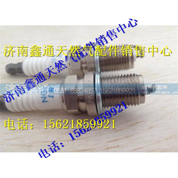 重汽天然气火花塞