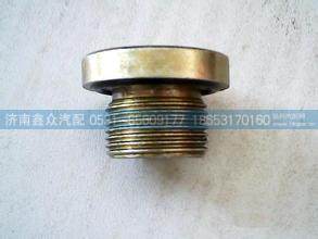 轮边放油螺栓190003961309