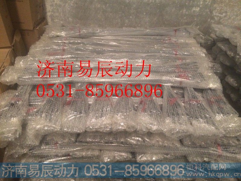 WG9725550203拉带