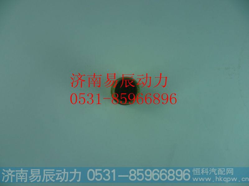油尺管堵盖 VG2600010538A
