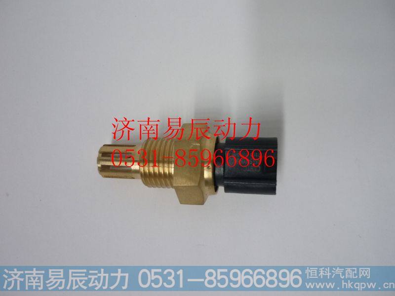 R61540090003进气温度传感器(欧3)