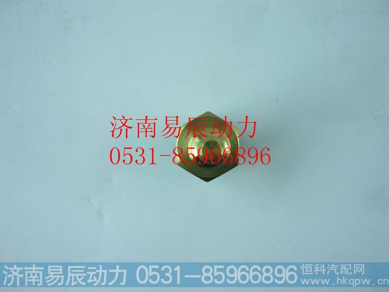 R61540090005柴油温度传感器