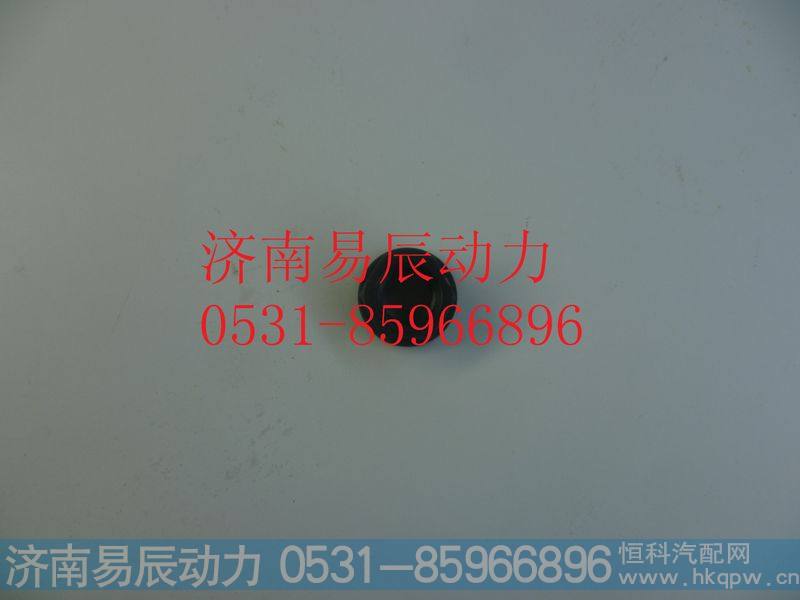 VG1200040034带肩螺母